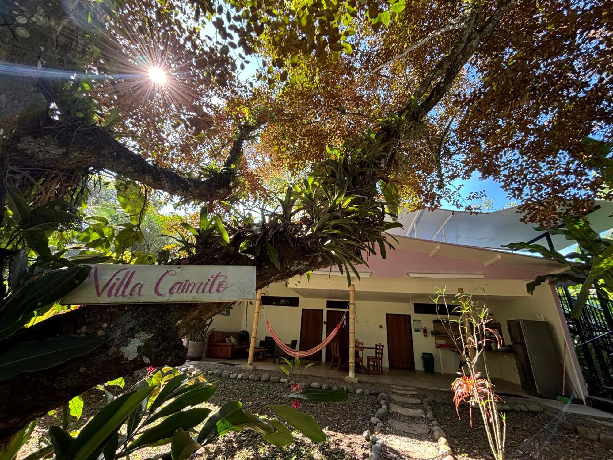 Puerto Viejo Club, Villas & Pool Puerto Viejo de Talamanca Eksteriør bilde